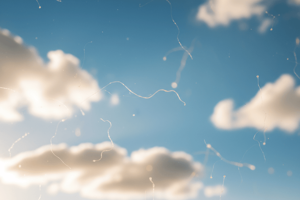 Floaters in the Eye: What They Mean and What to Do Next - Vynix